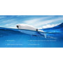 PowerVision - PowerDolphin Standard - 220° Wasserdrohne