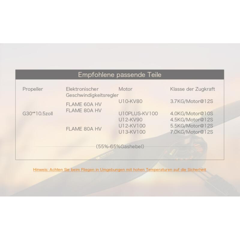 T-Motor G30x10.5 Propeller Set (2 Stk.)