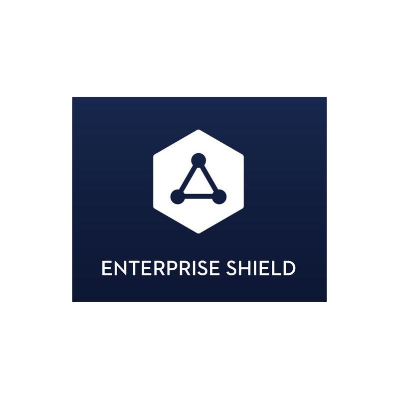 DJI Enterprise Shield Basic (Phantom 4 RTK) - Aktivierungscode für 12 Monate