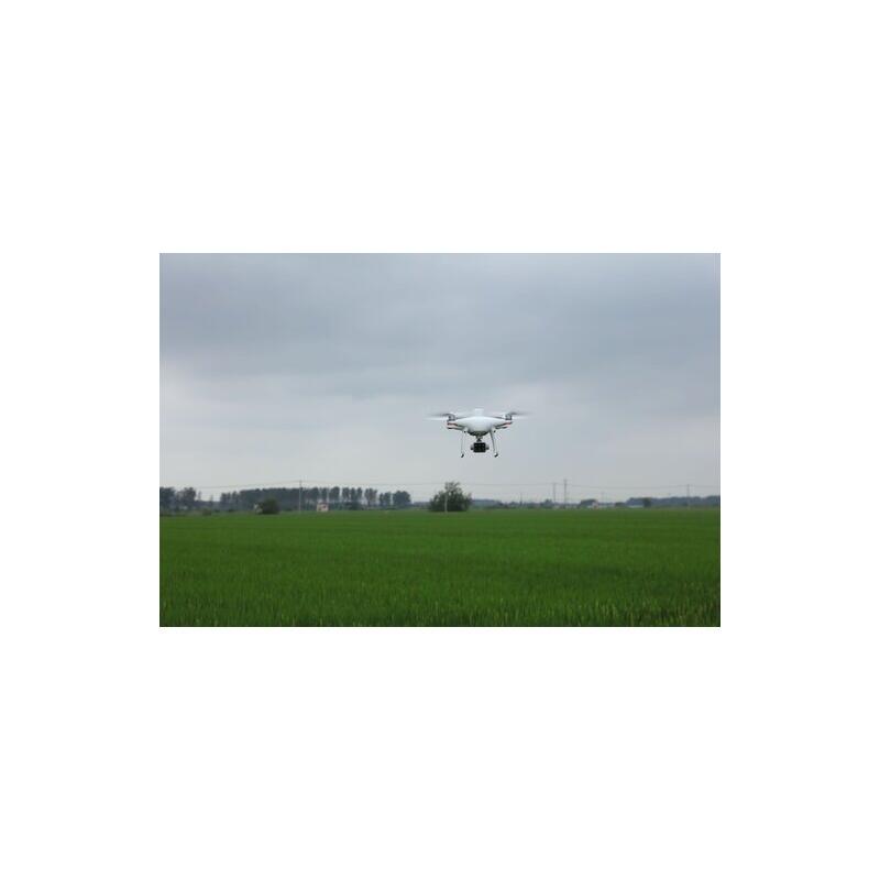 DJI P4 Multispectral