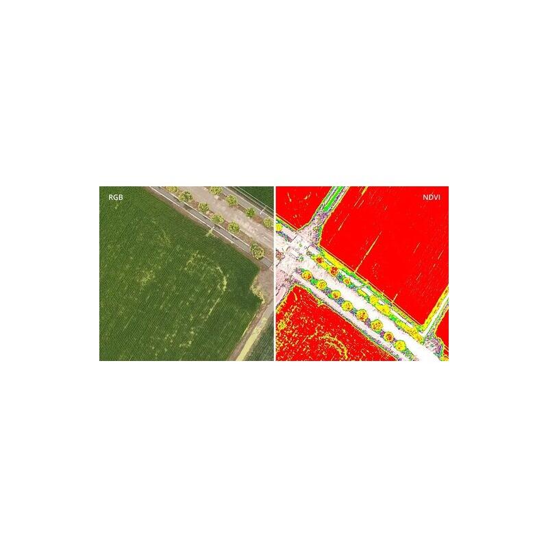 DJI P4 Multispectral